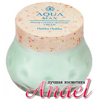 Holika Holika Увлажняющий крем для контроля себума Aqua Max Sebum Control Moisture Cream (120 мл)