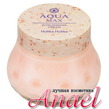Holika Holika Питающий увлажняющий крем Aqua Max Nutri Moisture Cream  (120 мл)