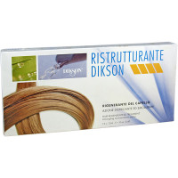 Dikson Ампульный восстанавливающий комплекс для сухих и поврежденных волос Ristrutturante (12х12 мл)