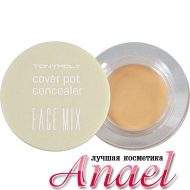 Tonymoly Кремовый консилер  Face Mix Cover Pot Concealer Тон 02 Натуральный беж (4 гр)