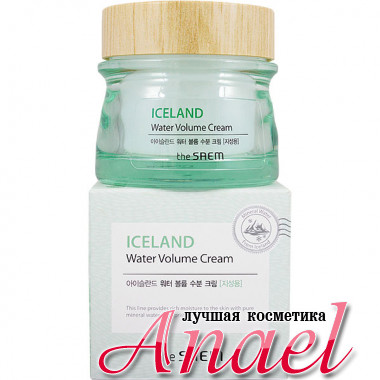 The Saem Увлажняющий крем с минеральной водой и экстрактом исландского мха для жирной кожи лица Iceland Water Volume Cream (80 мл)