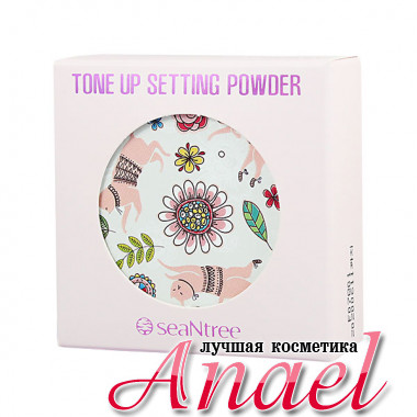 SeaNTree Рассыпчатая тонизирующая финишная пудра Tone Up Setting Powder (10 гр)