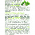 Natur Vital Шампунь для нормальных волос «Счастливые волосы» с зеленым чаем Shampoo Happy Hair Green Tea 93% Natural (300 мл)