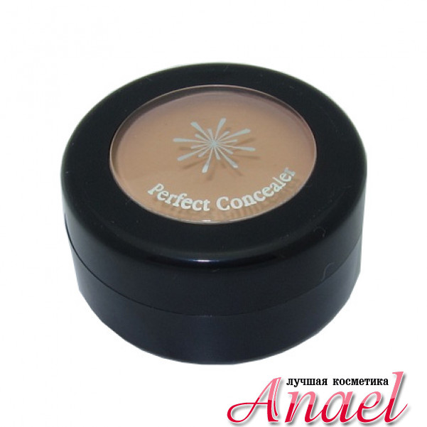 Missha Консилер Perfect Concealer №1 Светло-бежевый (3 гр)